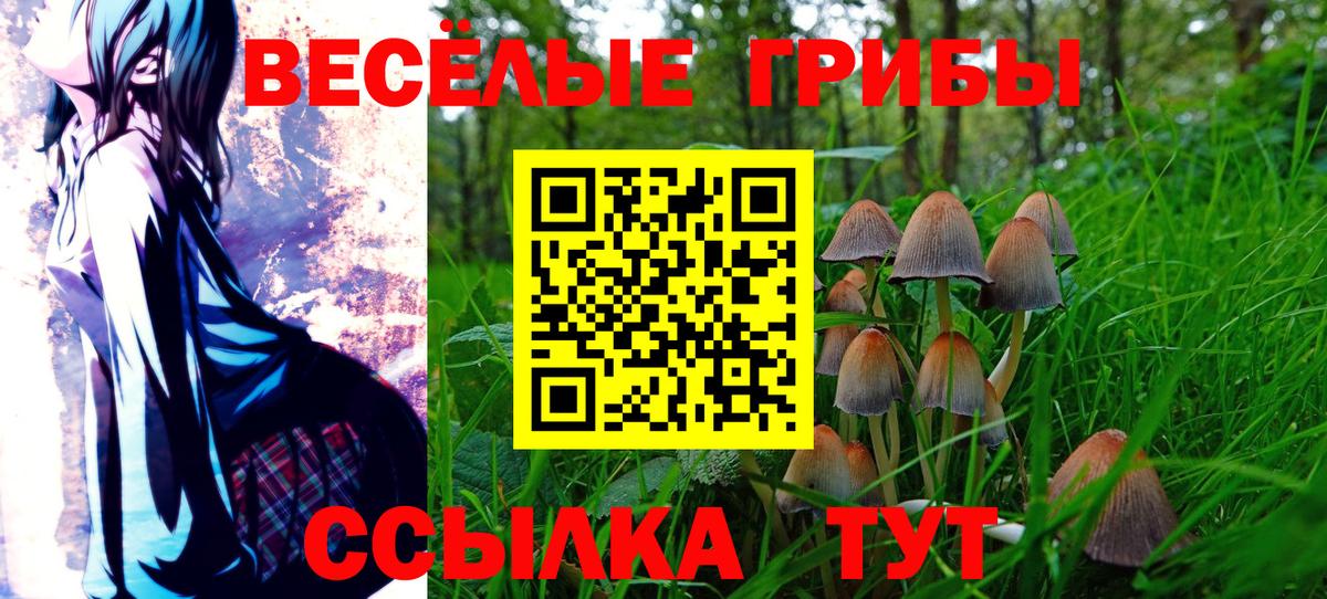 Псилоцибиновые грибы Psilocybine cubensis Москва